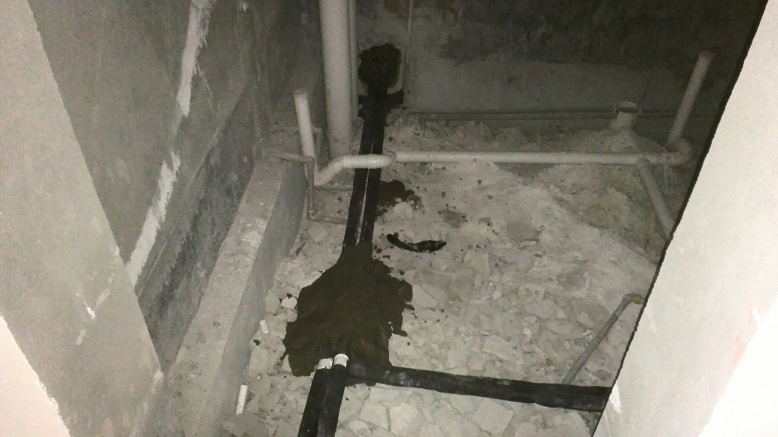 ؼԷůƬpprܵʩ